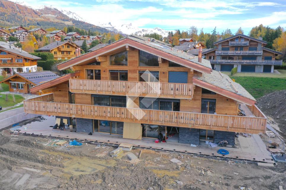 Immagine di copertina