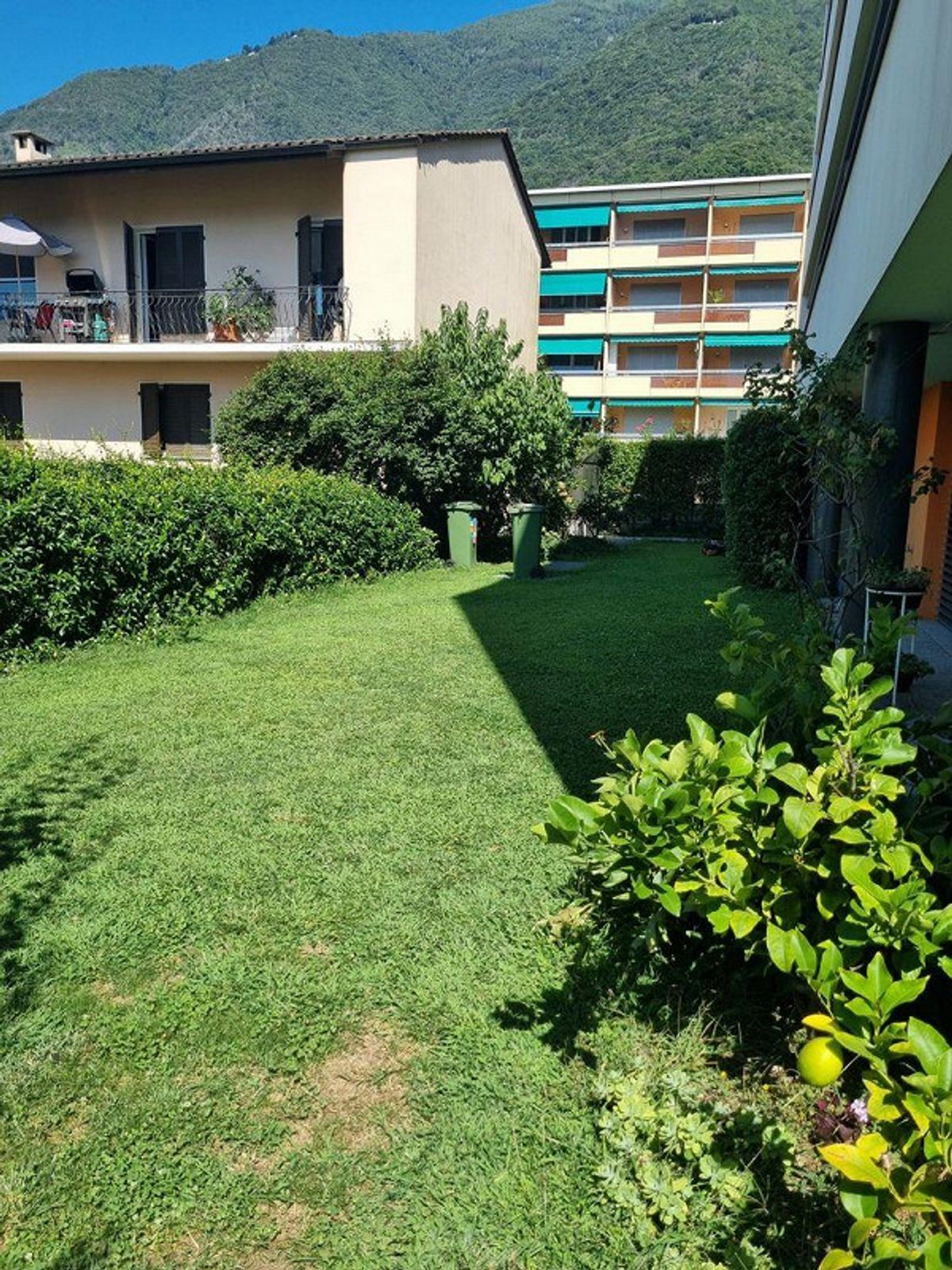 Picture 6