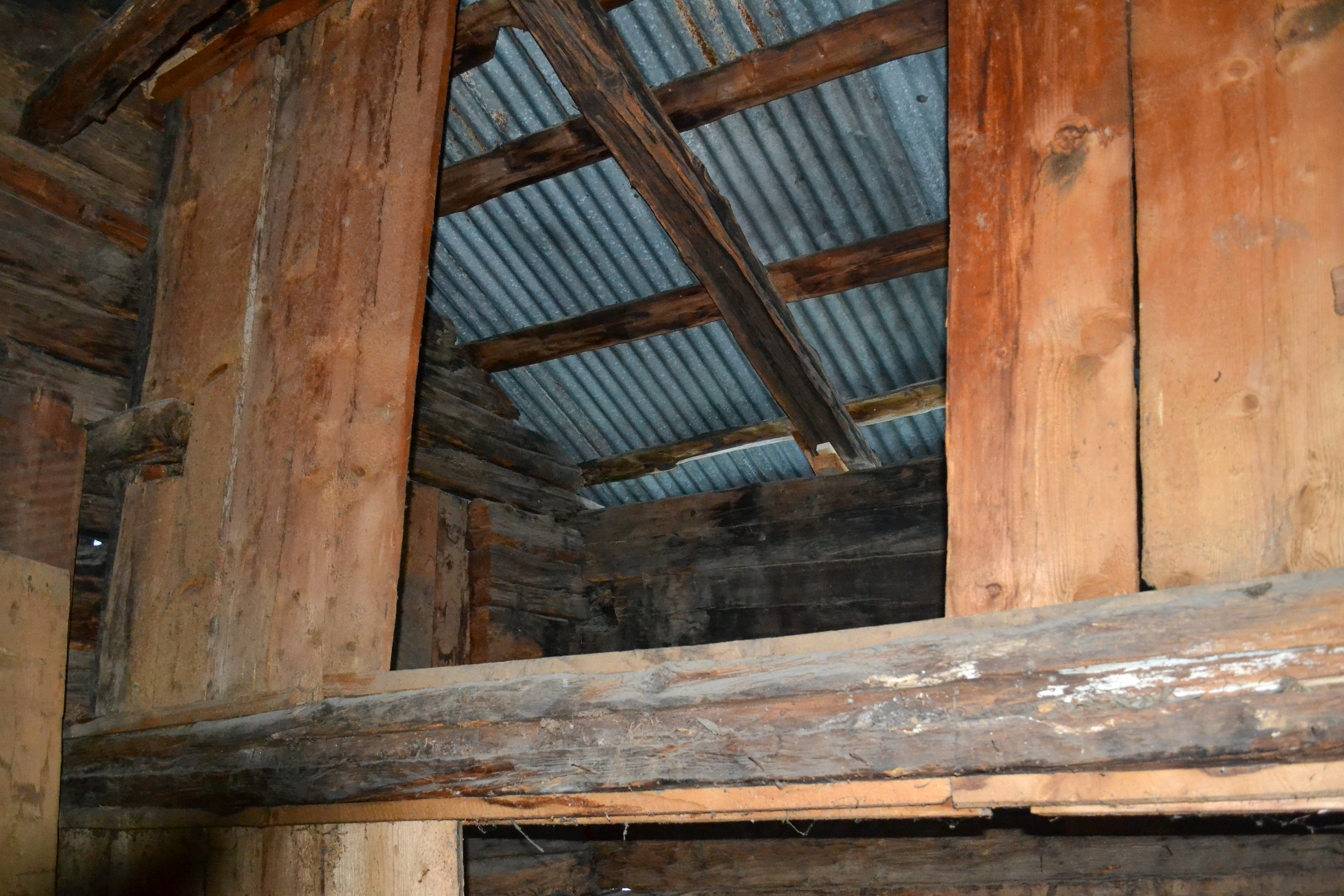 Photo 11