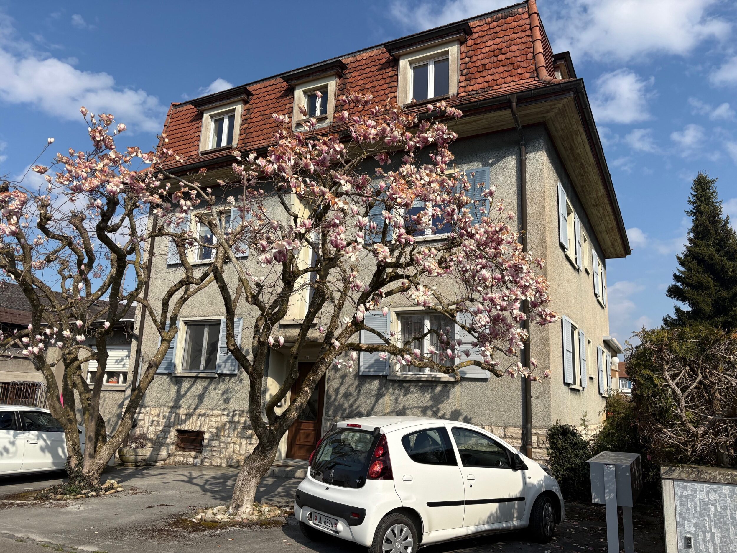 Foto 1