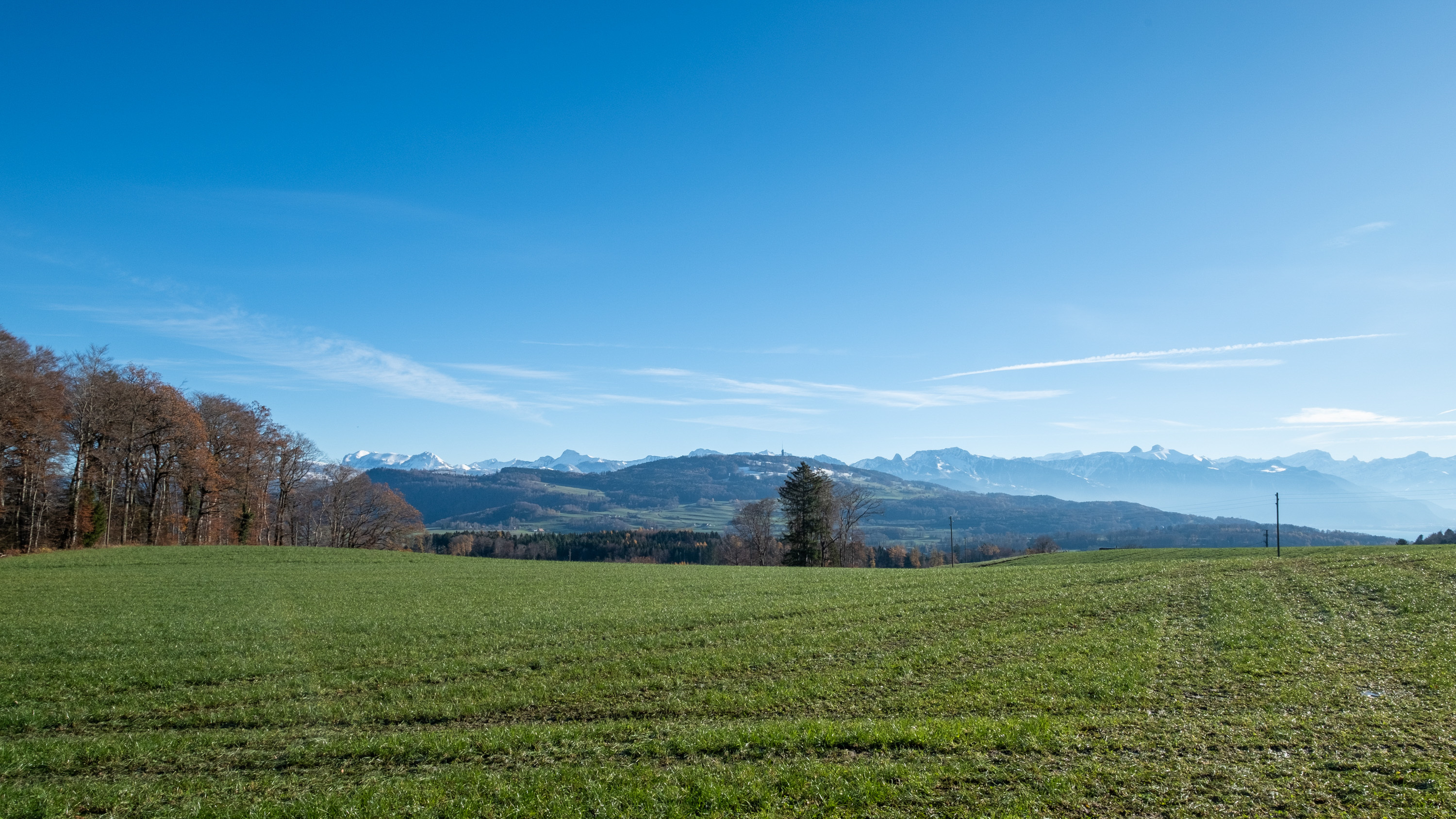 Projet immobilier à Villarimboud avec 2 maisons Domespace à vendre : l'environnement.
