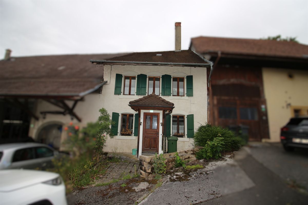 Foto 1