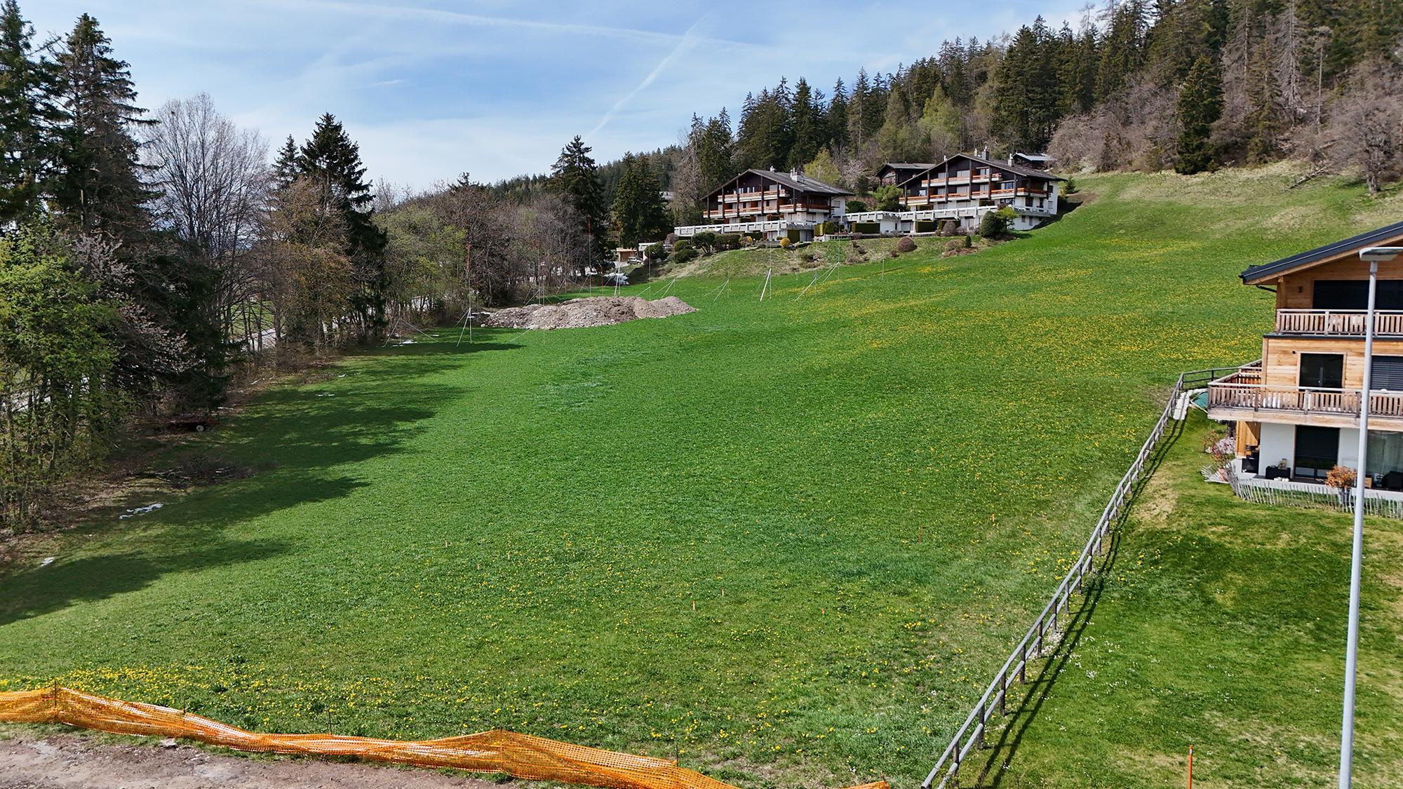 Photo 11