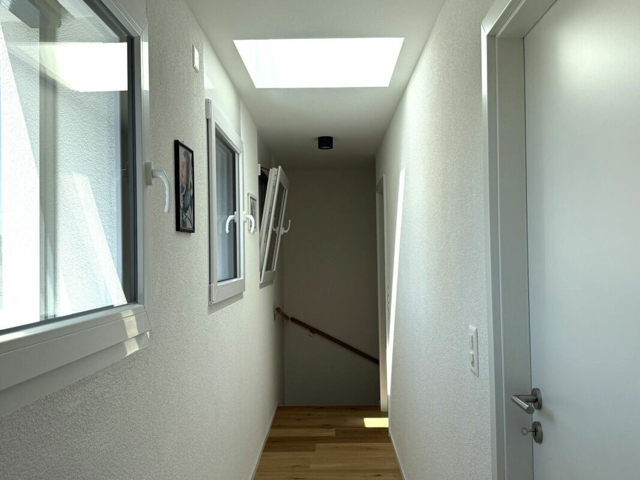 Picture 8