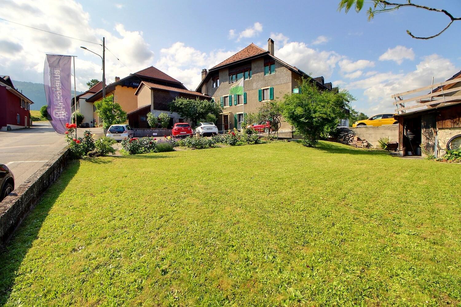 Photo 8