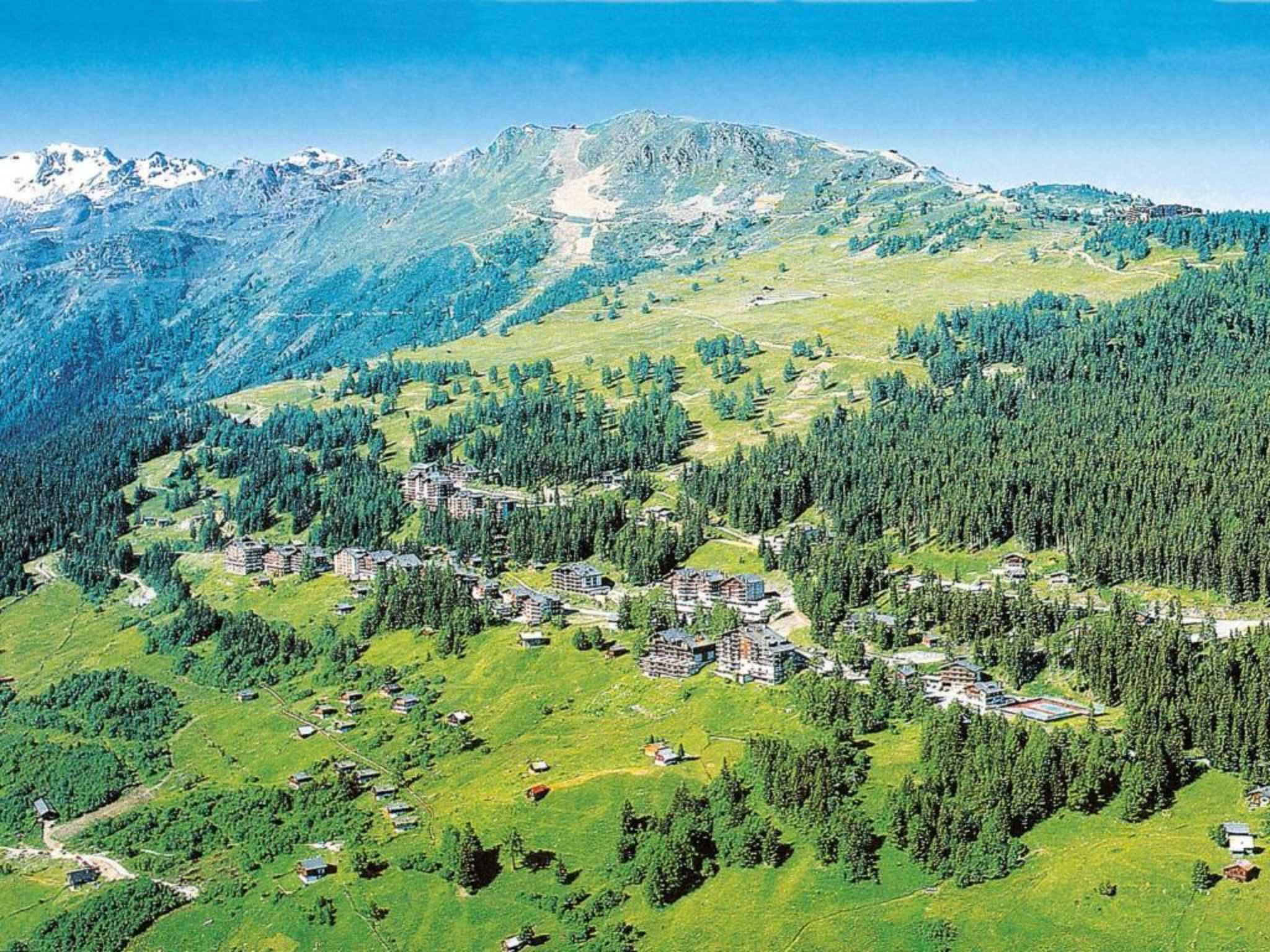 Immagine di copertina