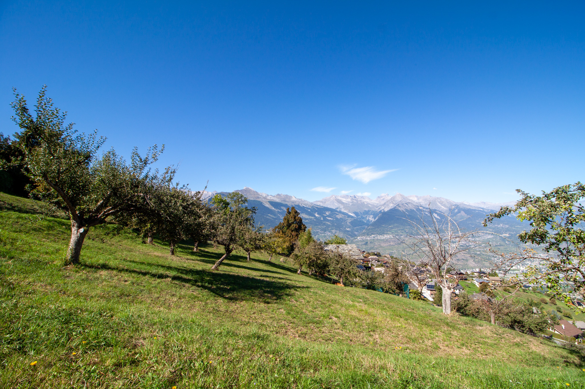 Vista esteriore 2