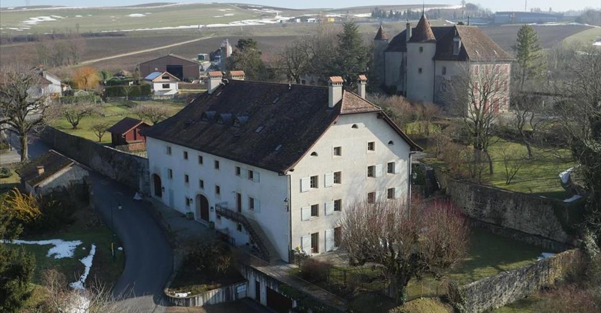 Immagine di copertina