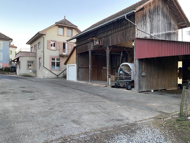 Photo 3