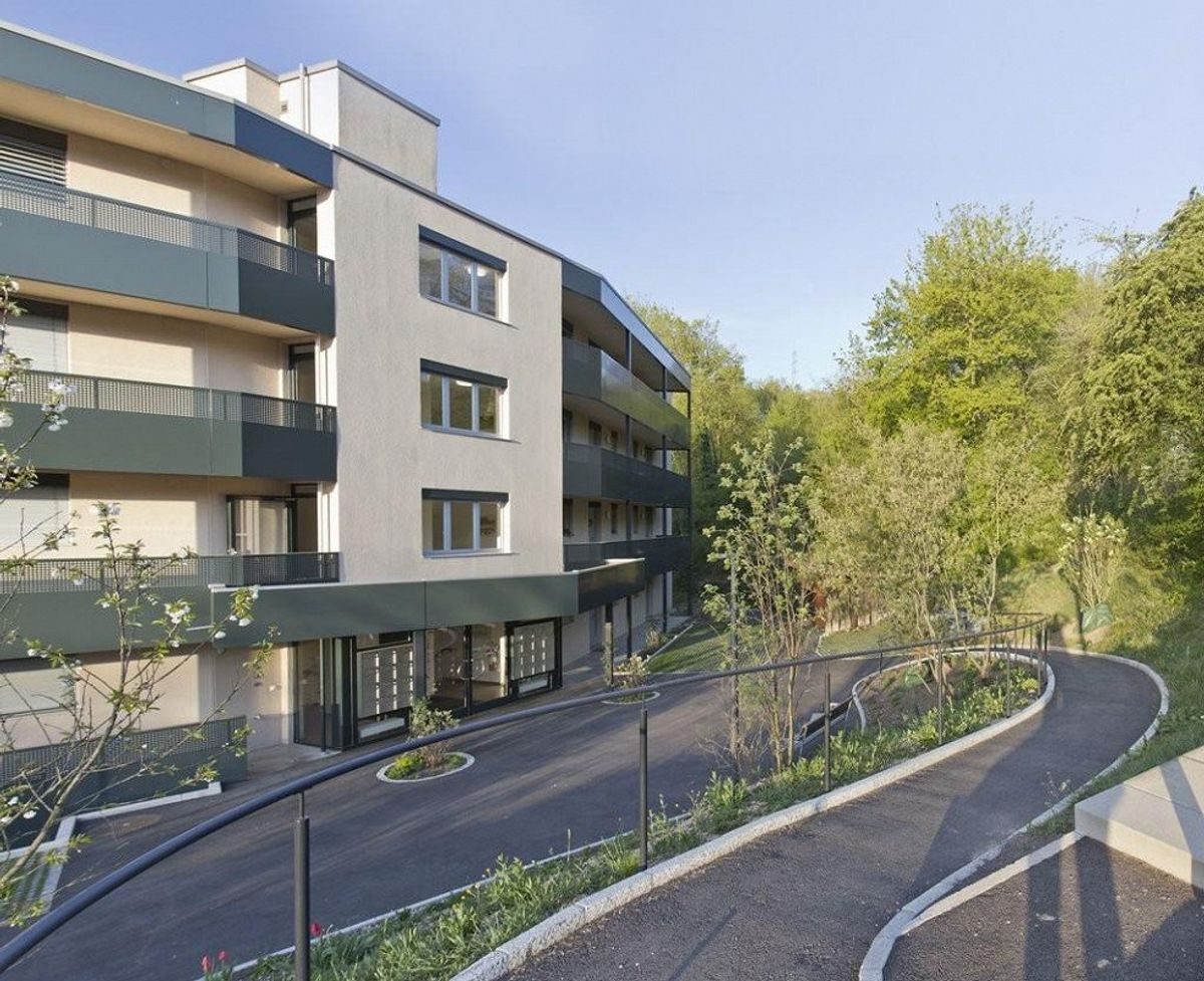 Immagine di copertina