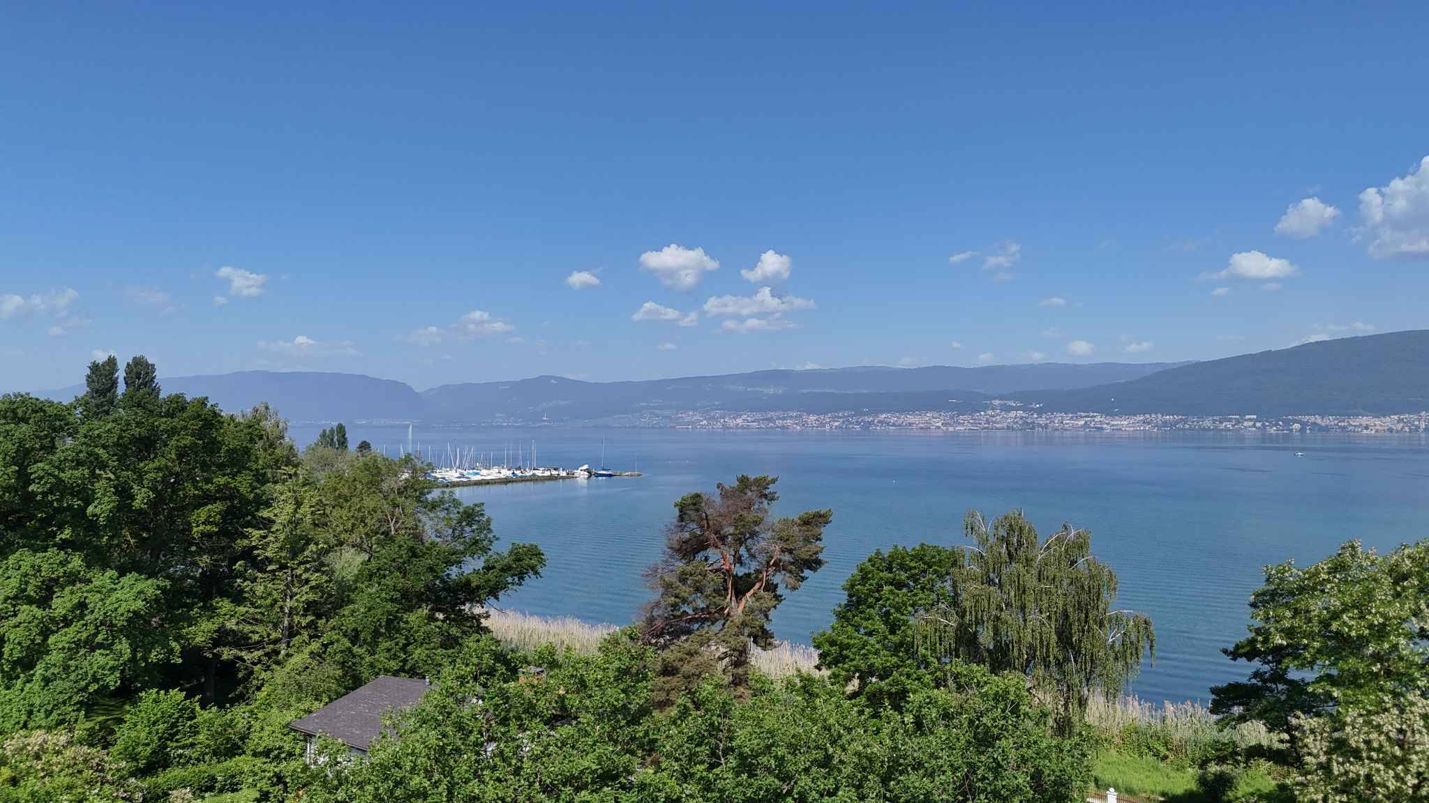 Foto 12