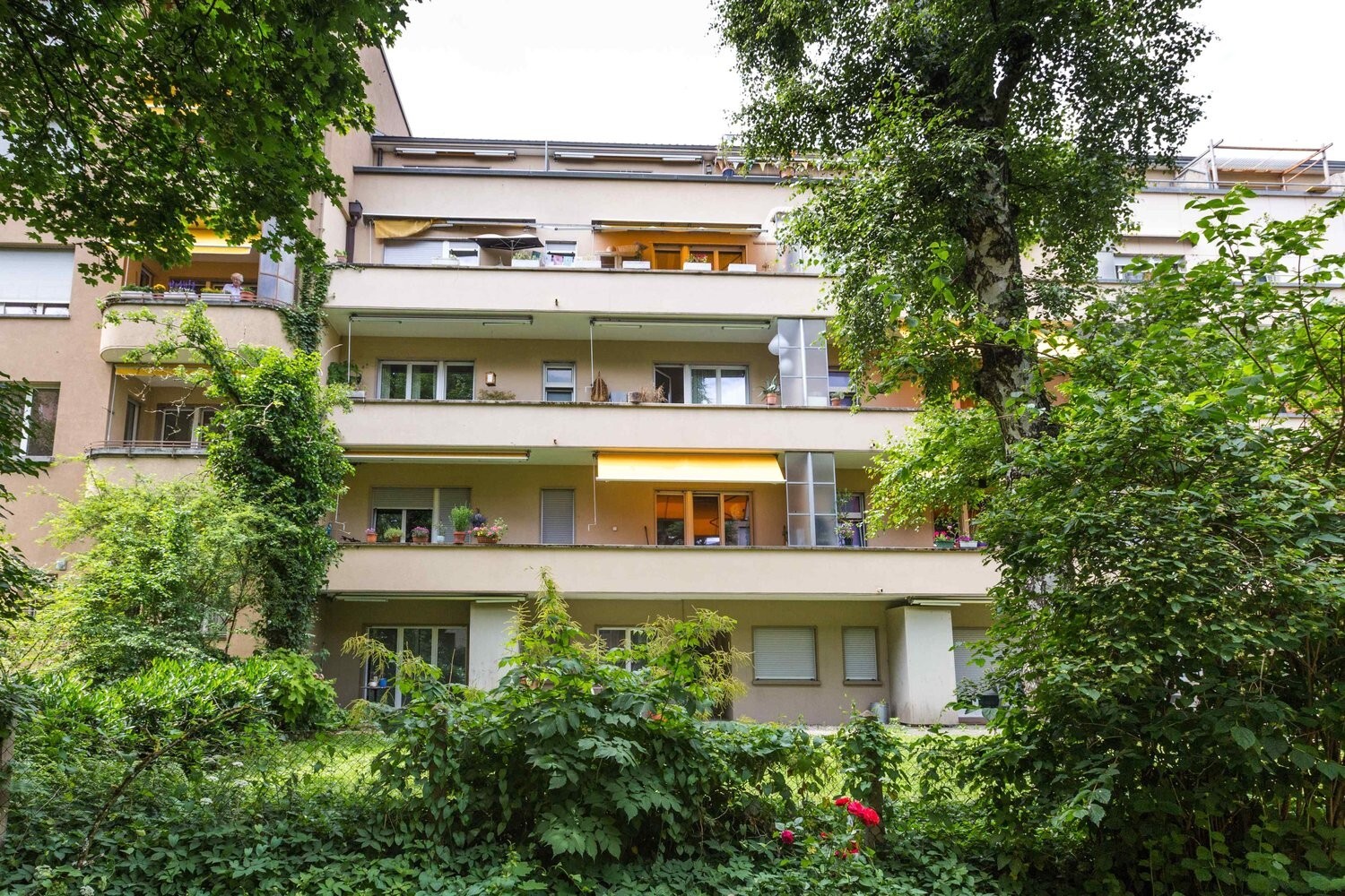 Foto 2