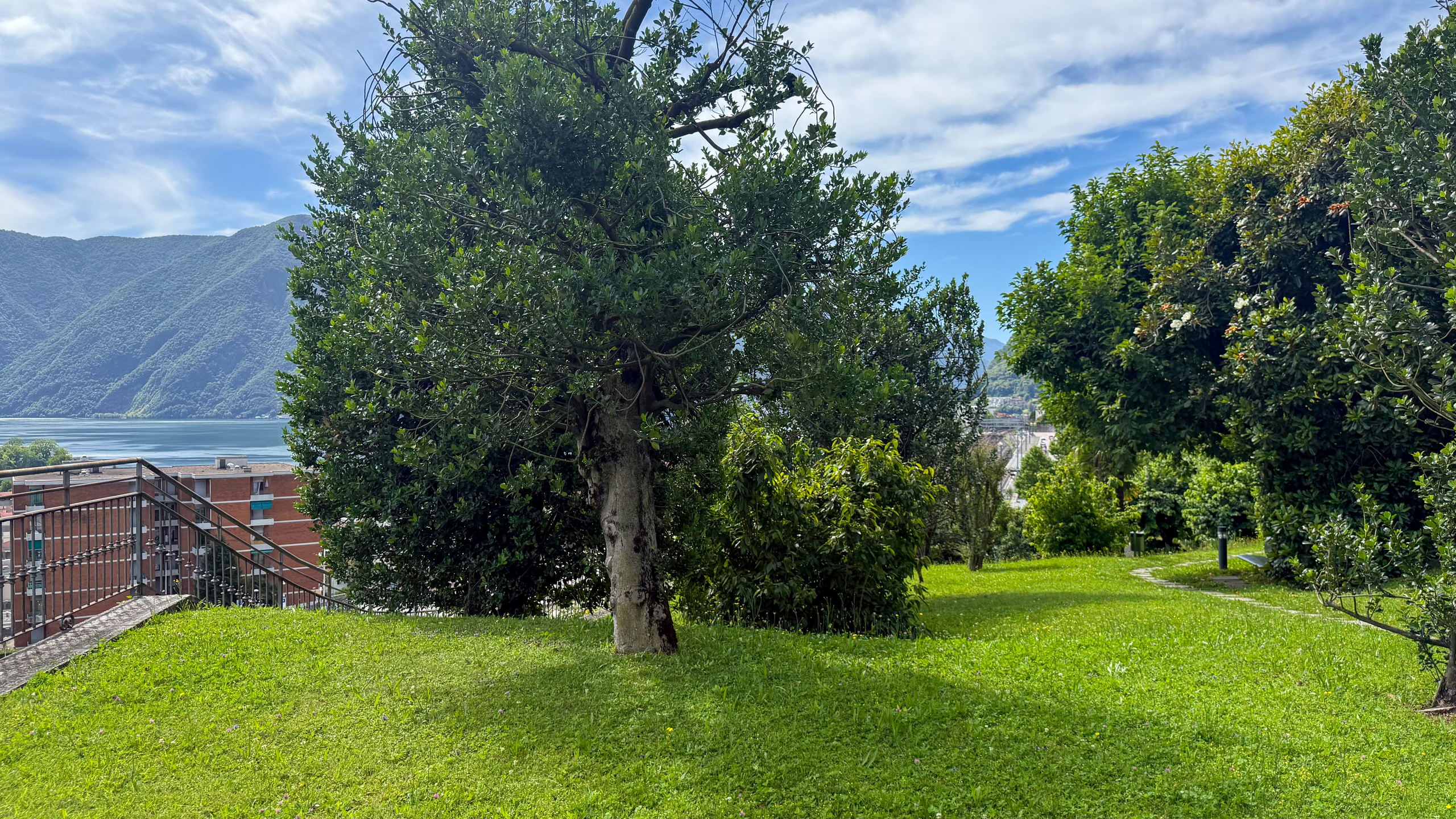 Foto 14