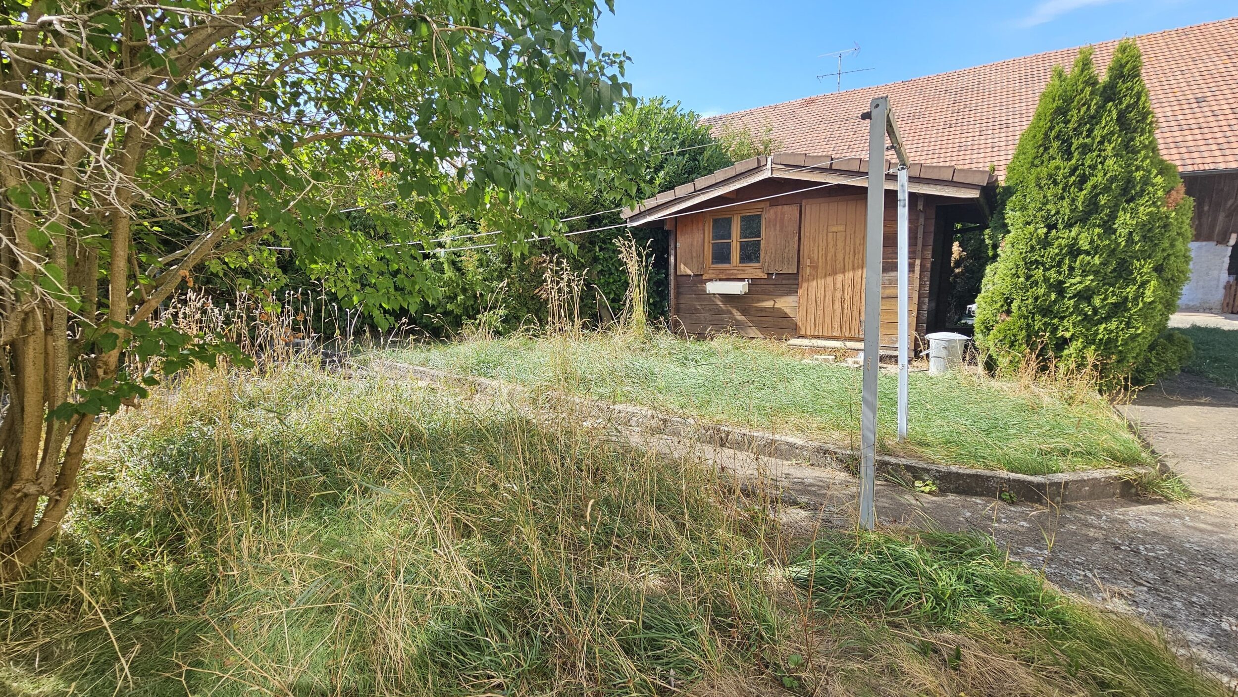 Picture 6