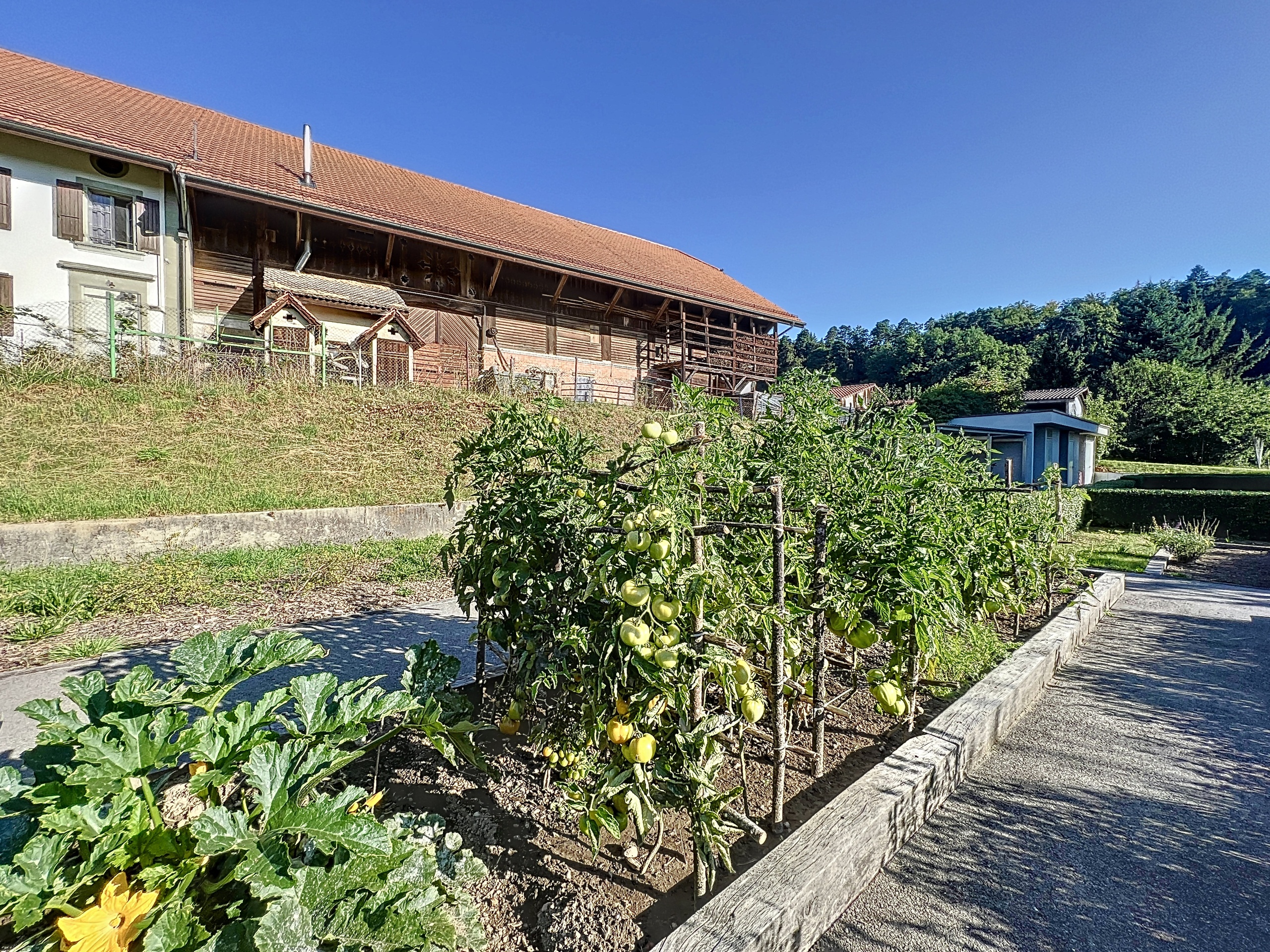 Potager Potager