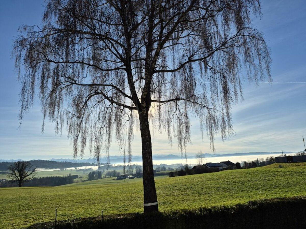 Immagine di copertina 2