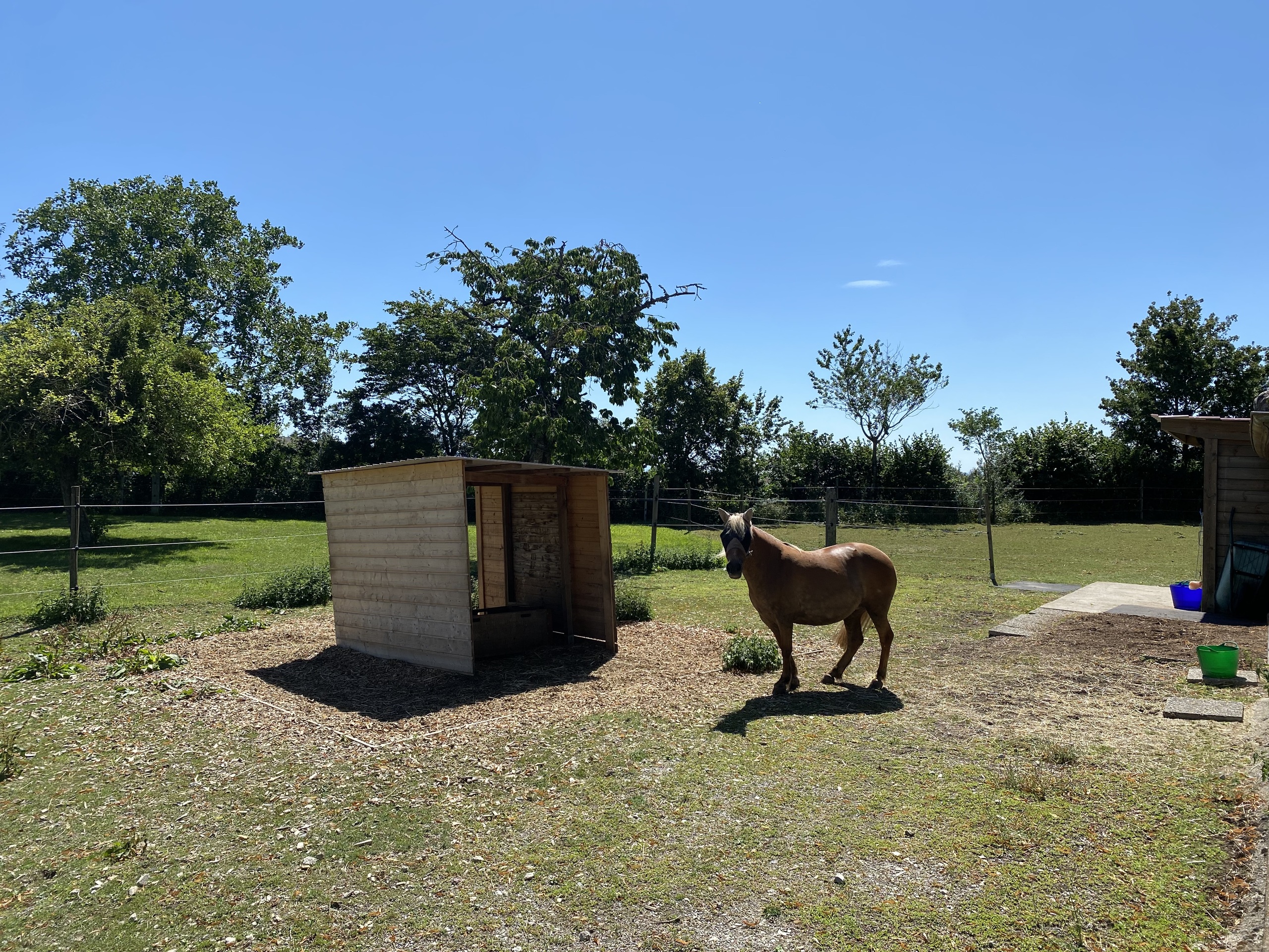 Photo 8