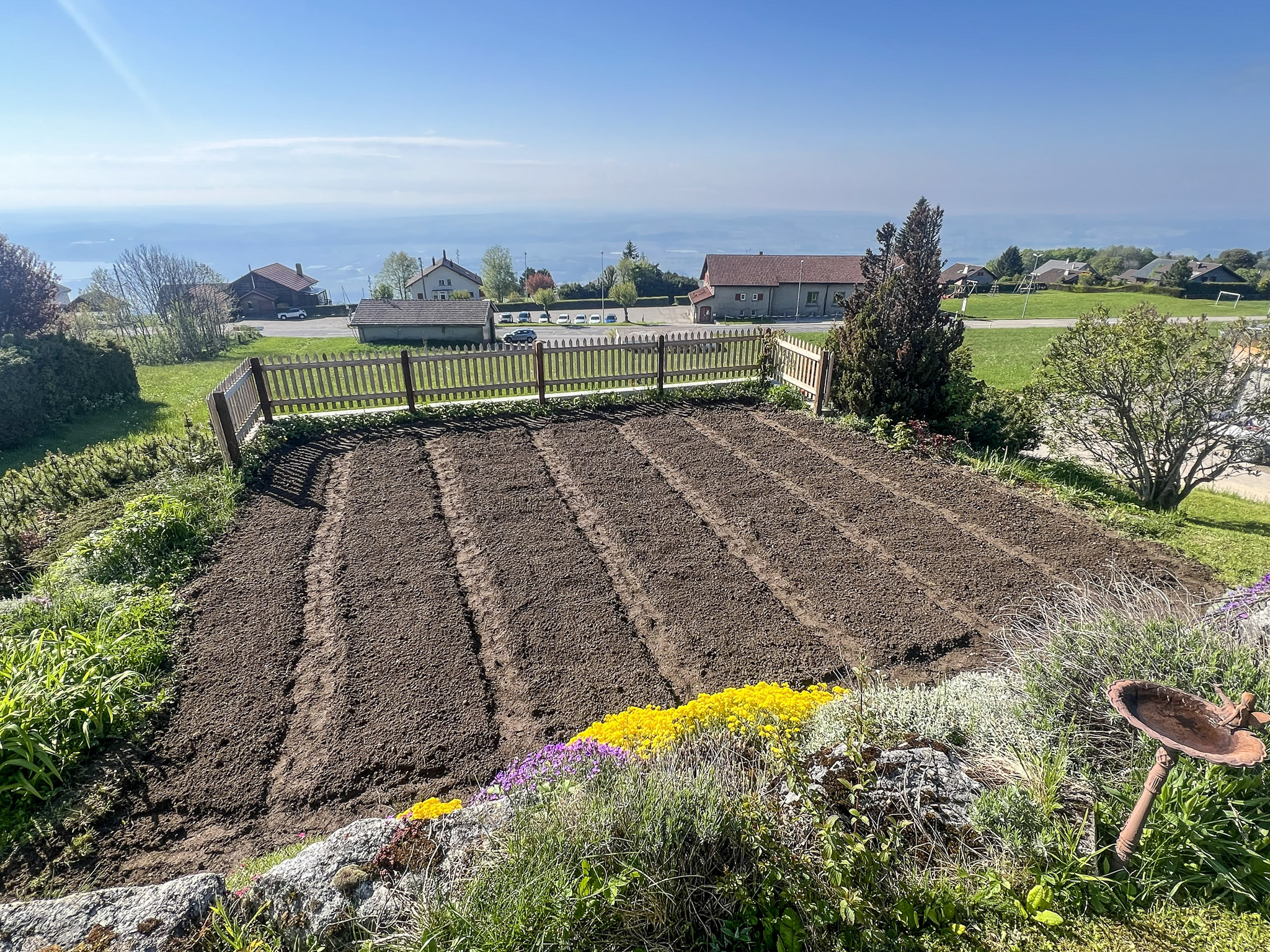 Jardin estival Jardin estival