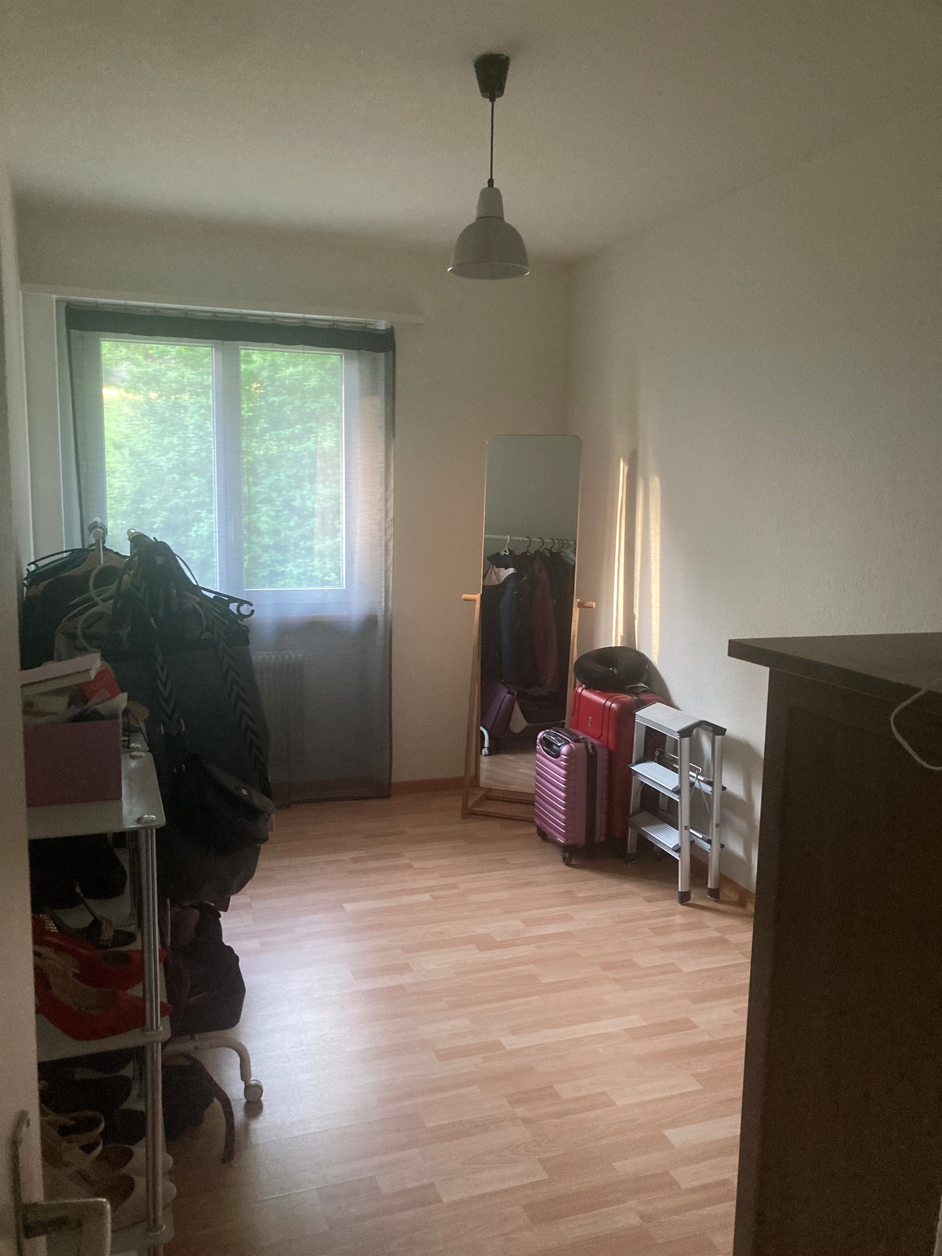 Picture 4