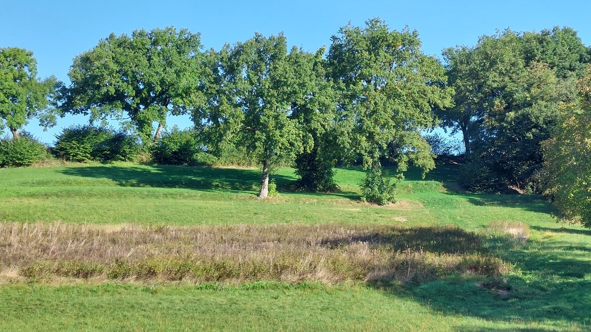 parcelles 103-105-106 parcelles 103-105-106