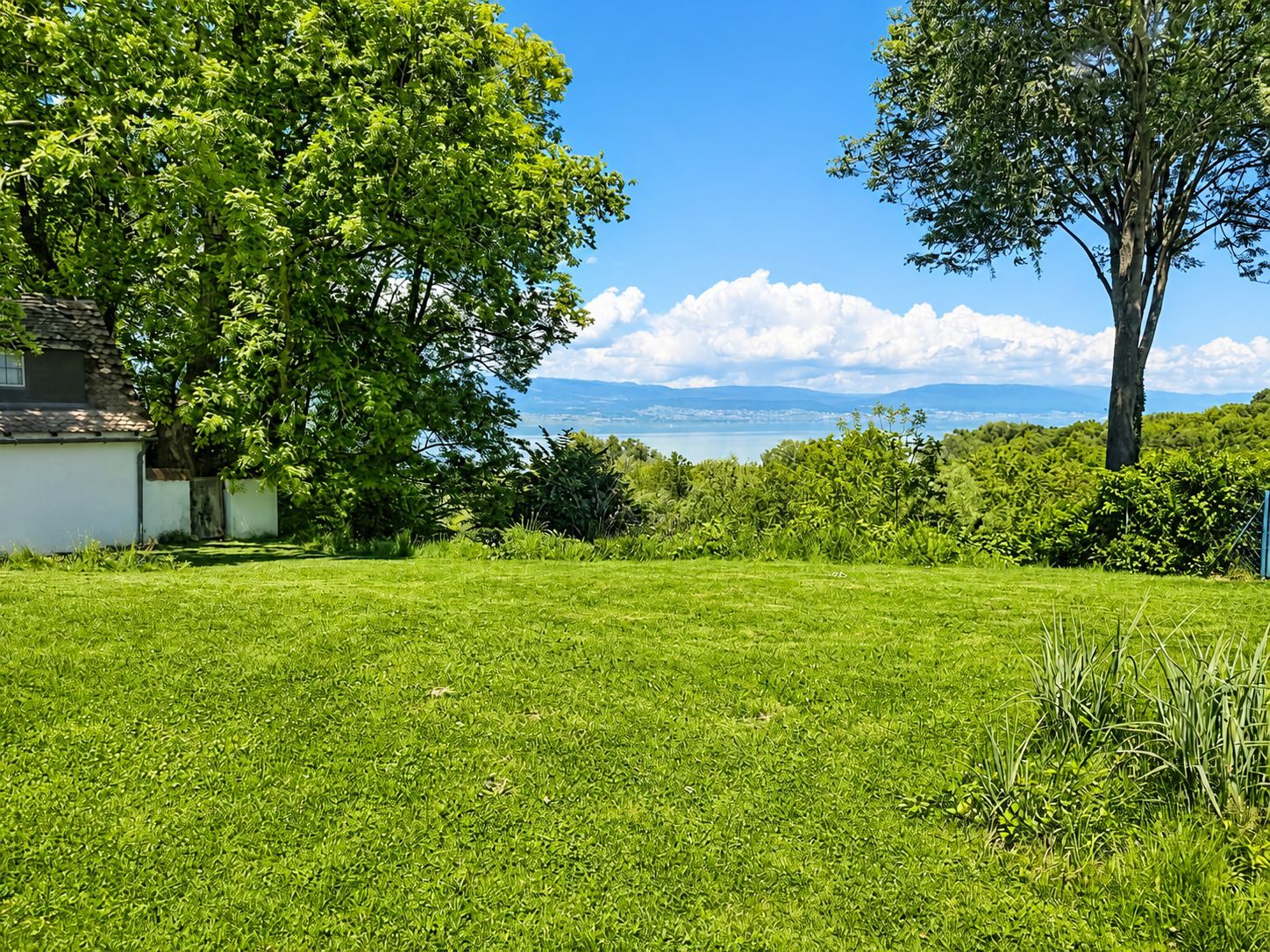 Vista esteriore 5