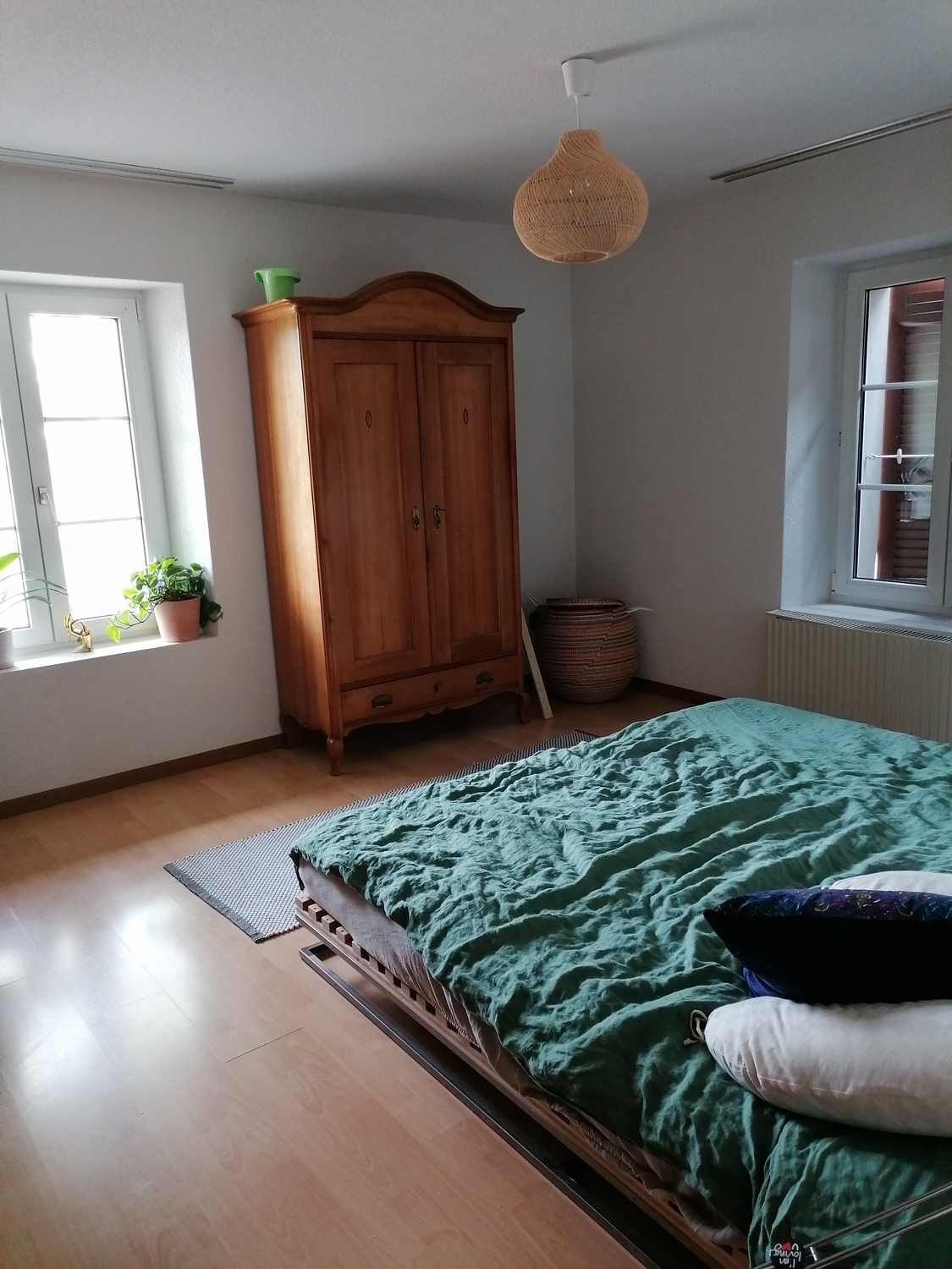 Photo 5