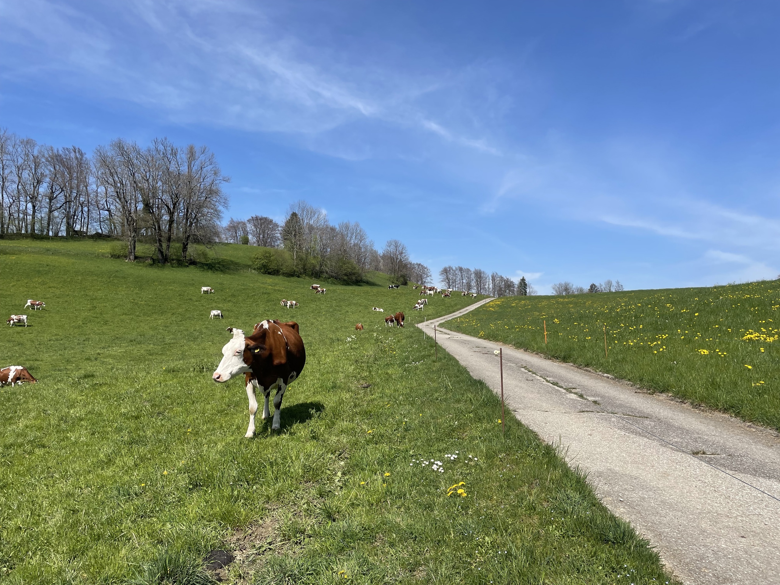 Proche de la nature Proche de la nature