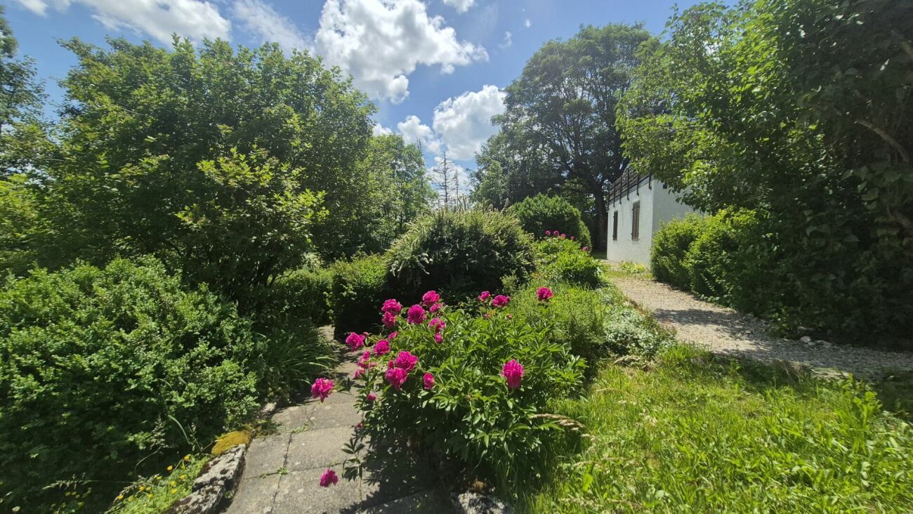 Photo 9