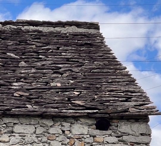 Premier coup d'oeil 1