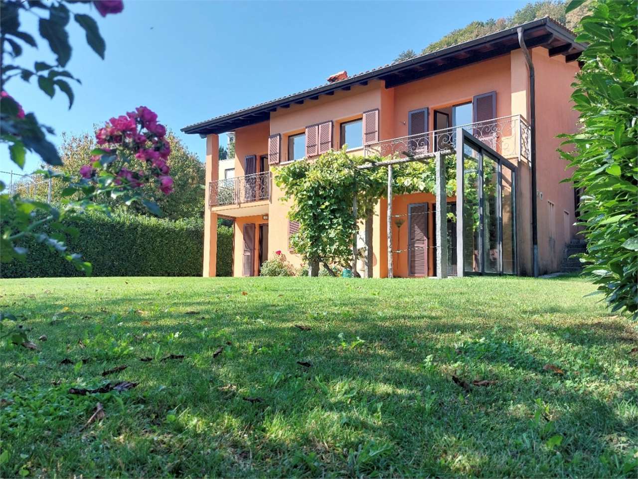 Immagine di copertina