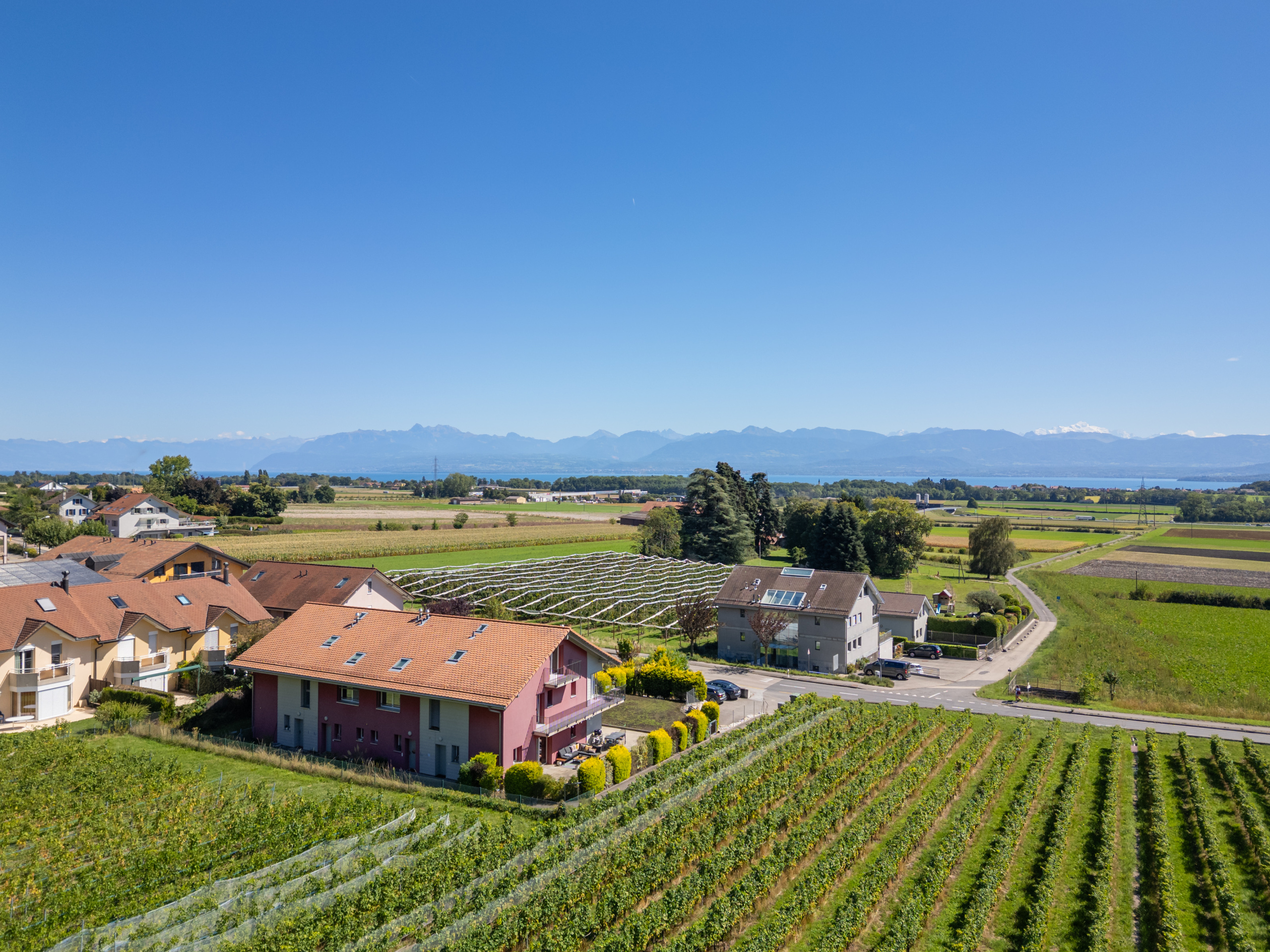 Vue lac et Mont Blanc Vue lac et Mont Blanc