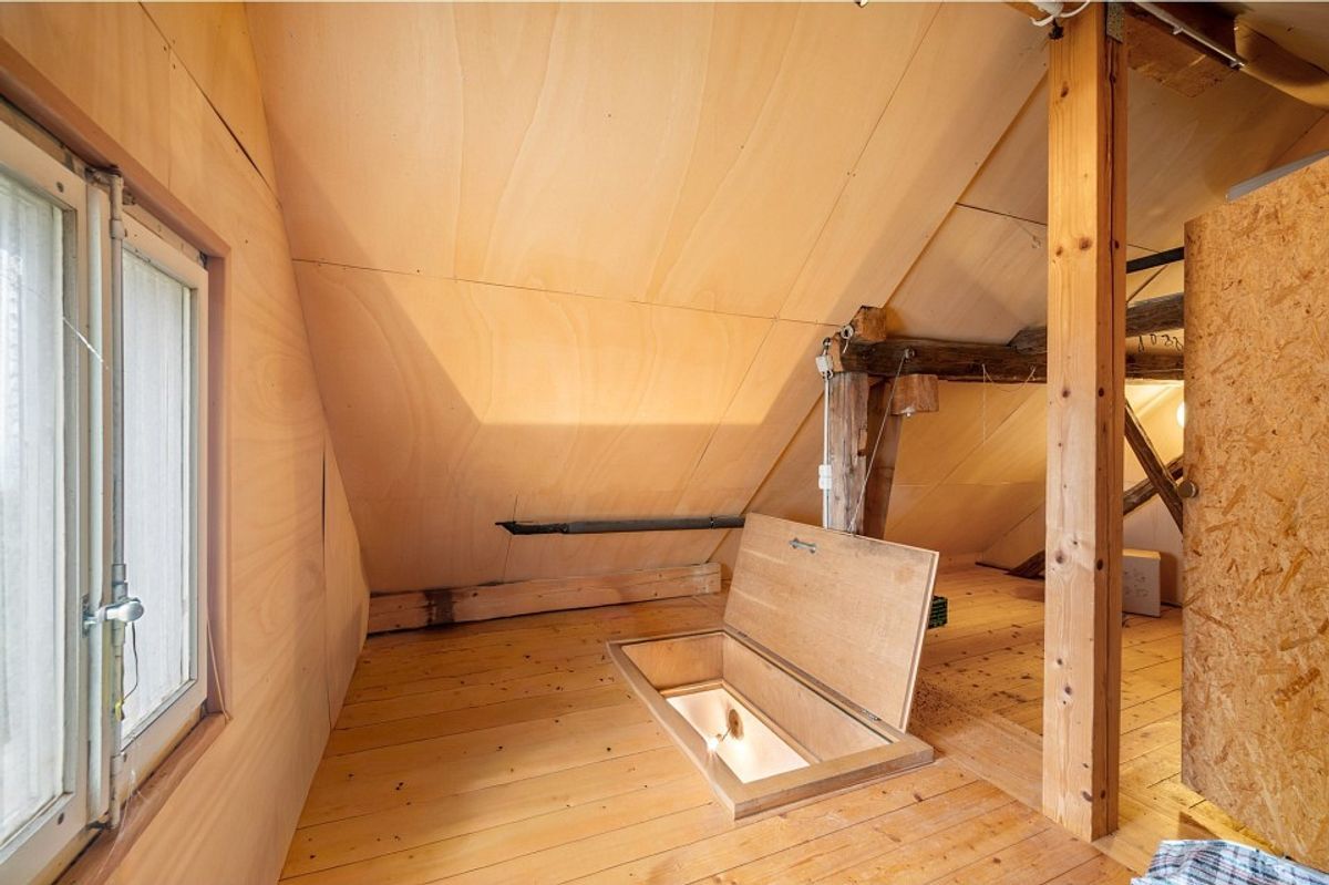 Photo 11