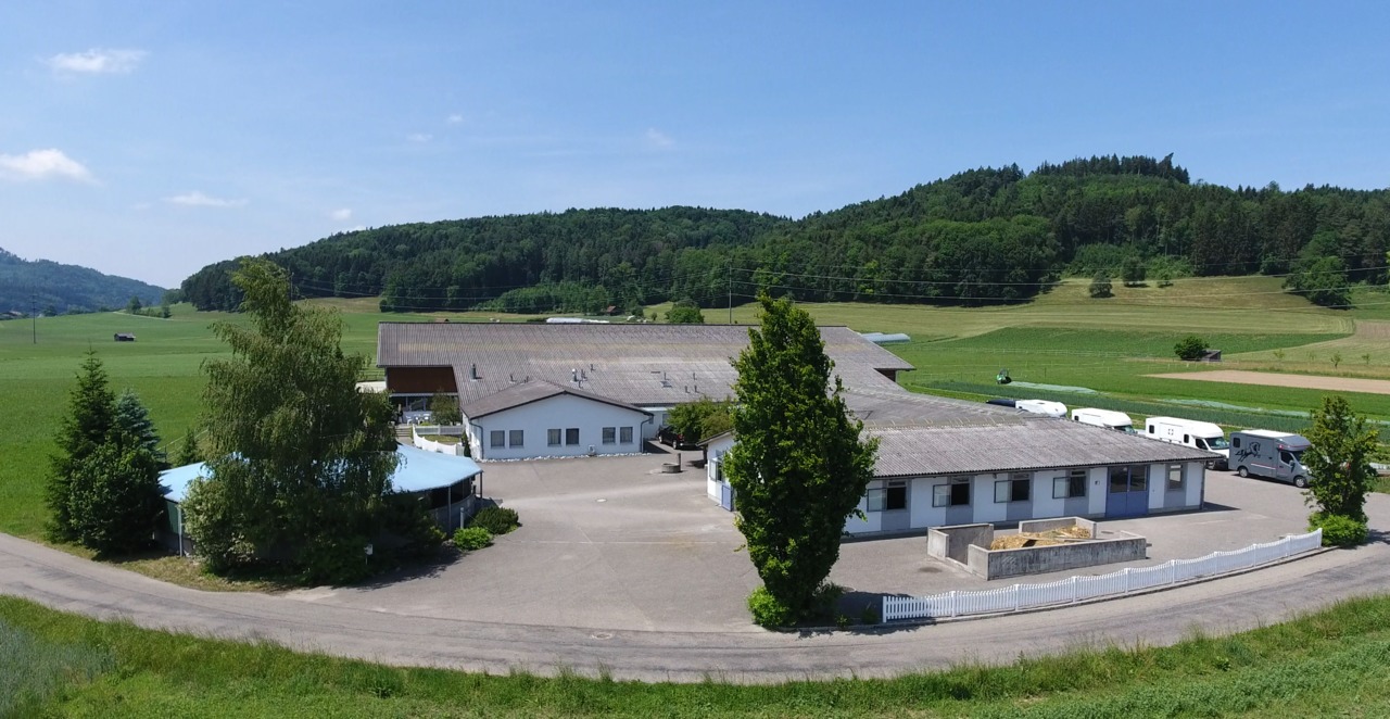 Professionelle Reitsportanlage