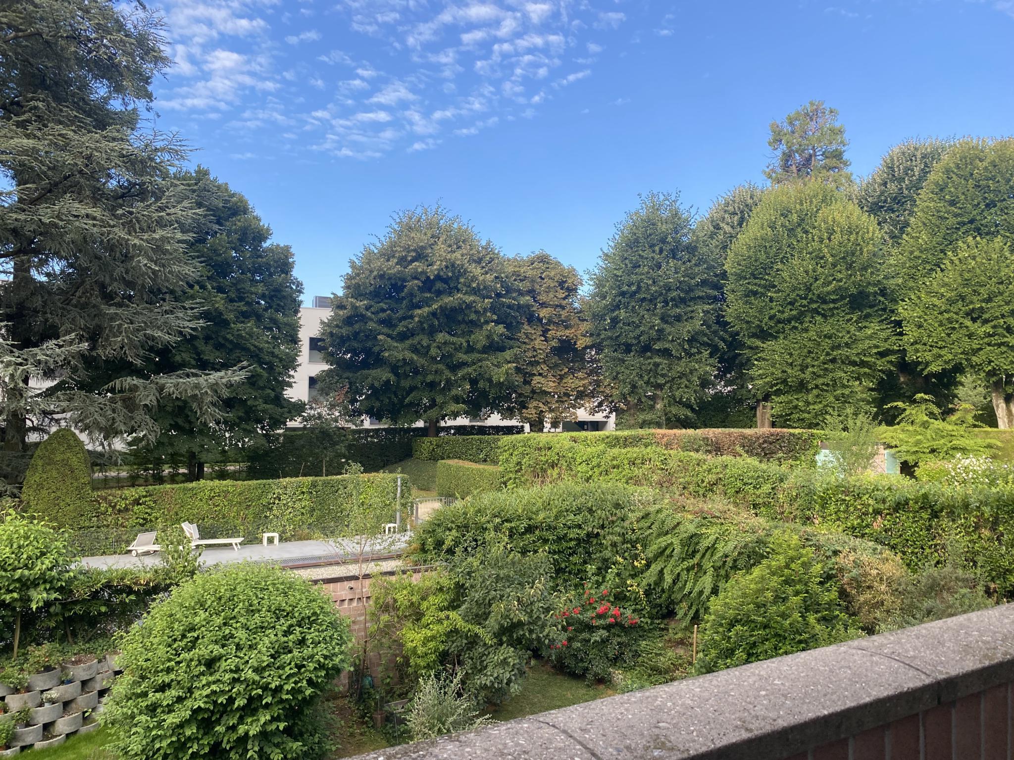 Premier coup d'oeil 1