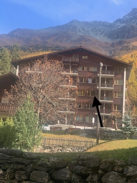 Picture 1