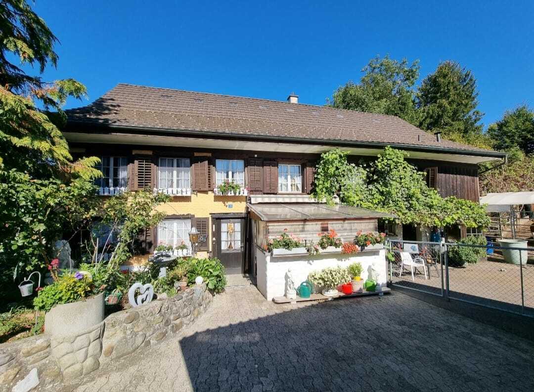 Premier coup d'oeil 1