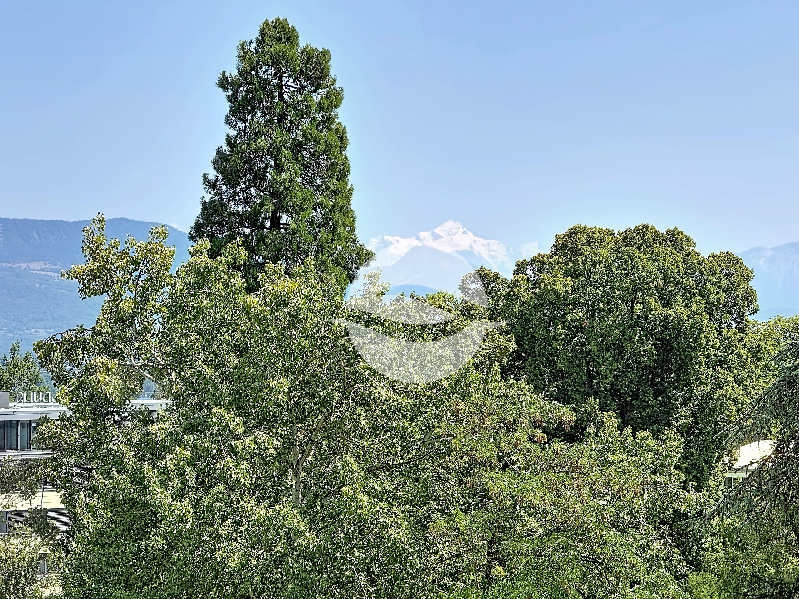Balcon avec vue Alpes et Mont-Blanc