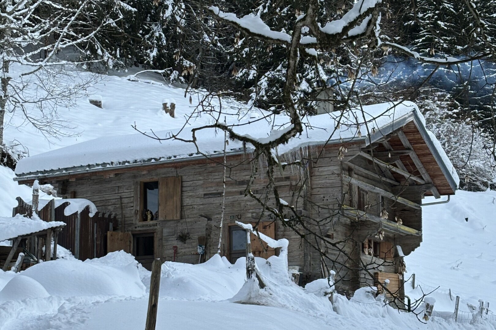 Photo 1
