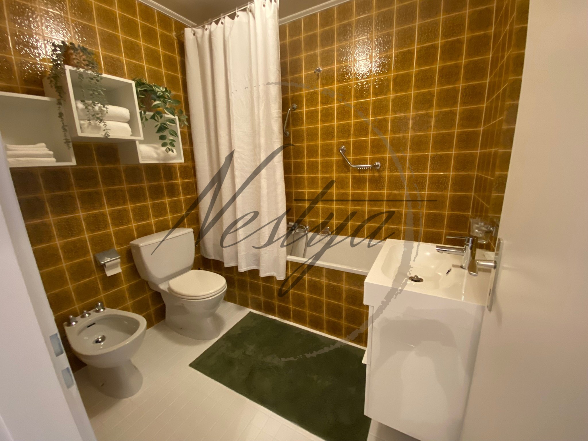 Picture 8