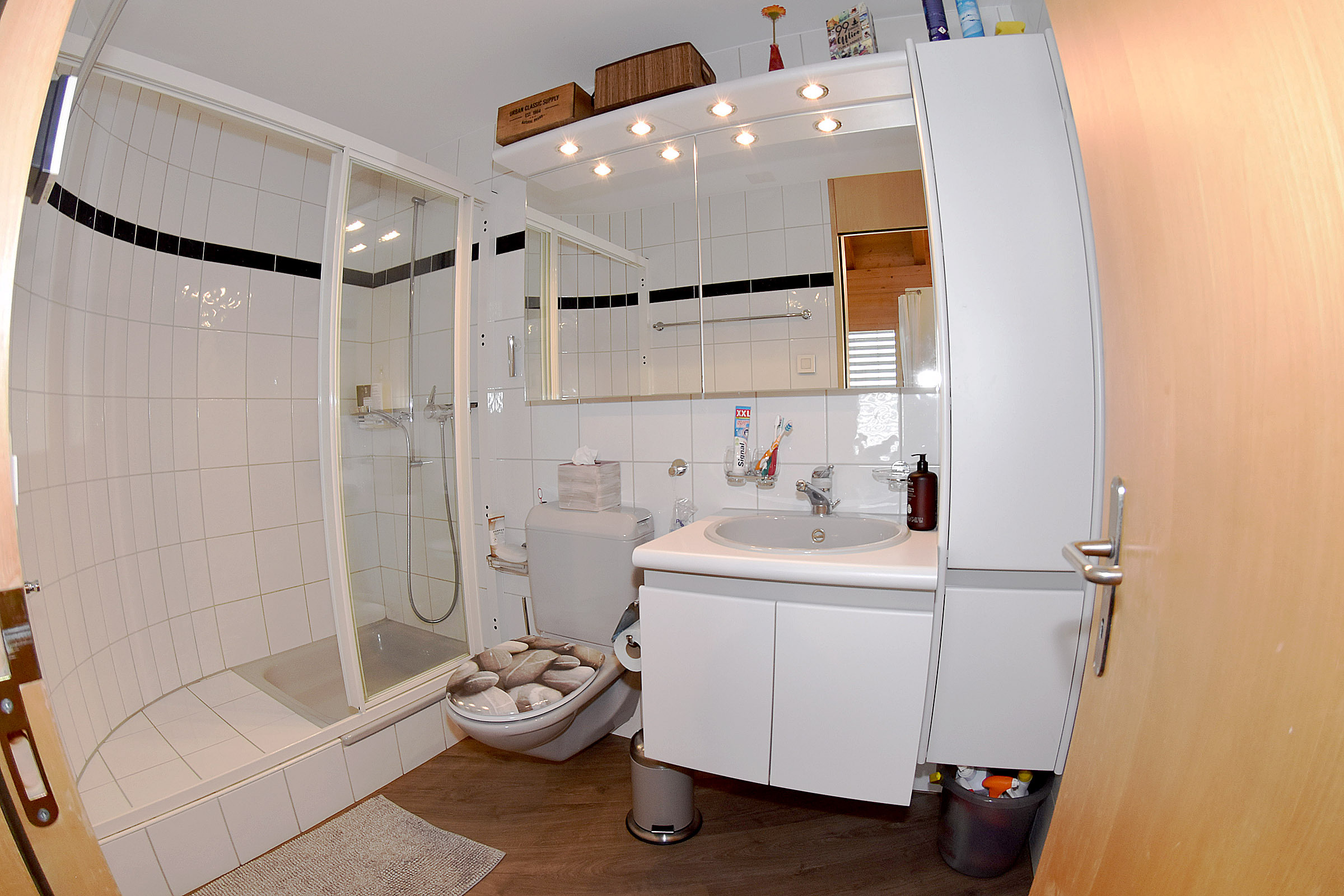 Das Bad mit Duschkabine, WC und Lavabo Das Bad mit Duschkabine, WC und Lavabo