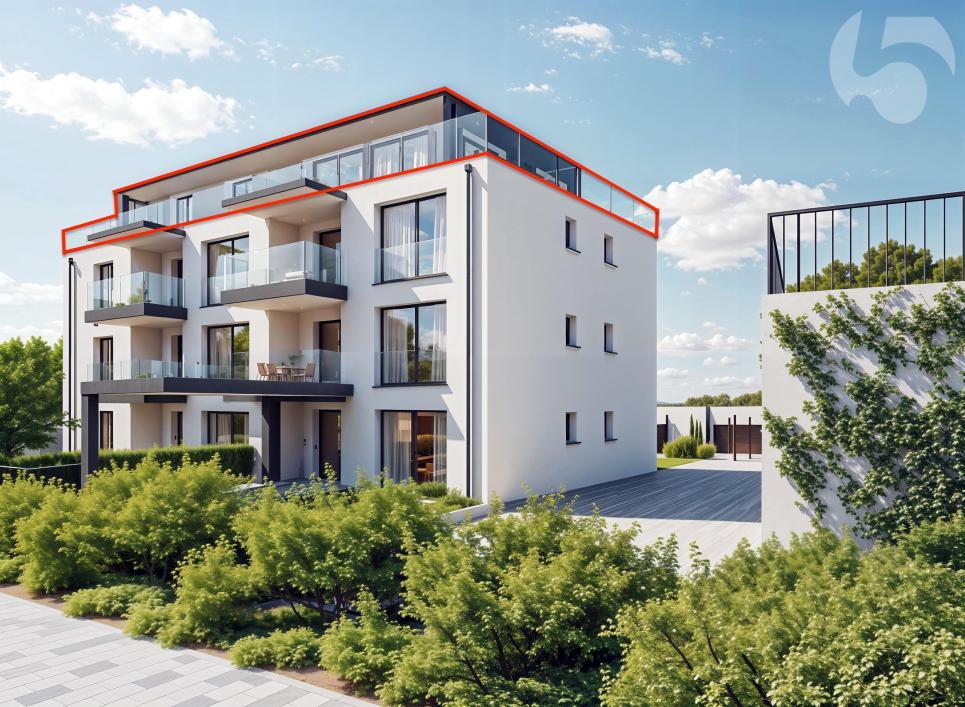 Immagine di copertina 1