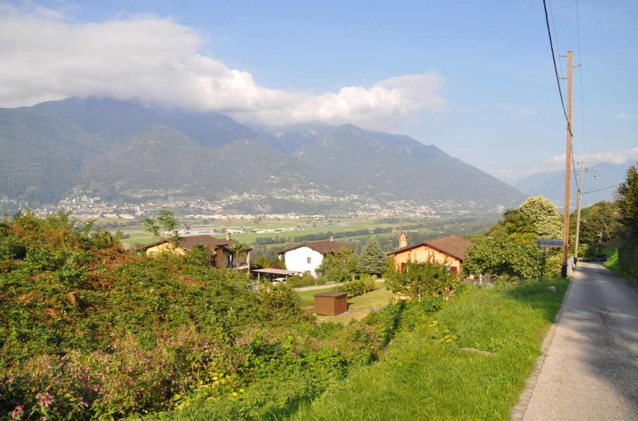 Immagine di copertina