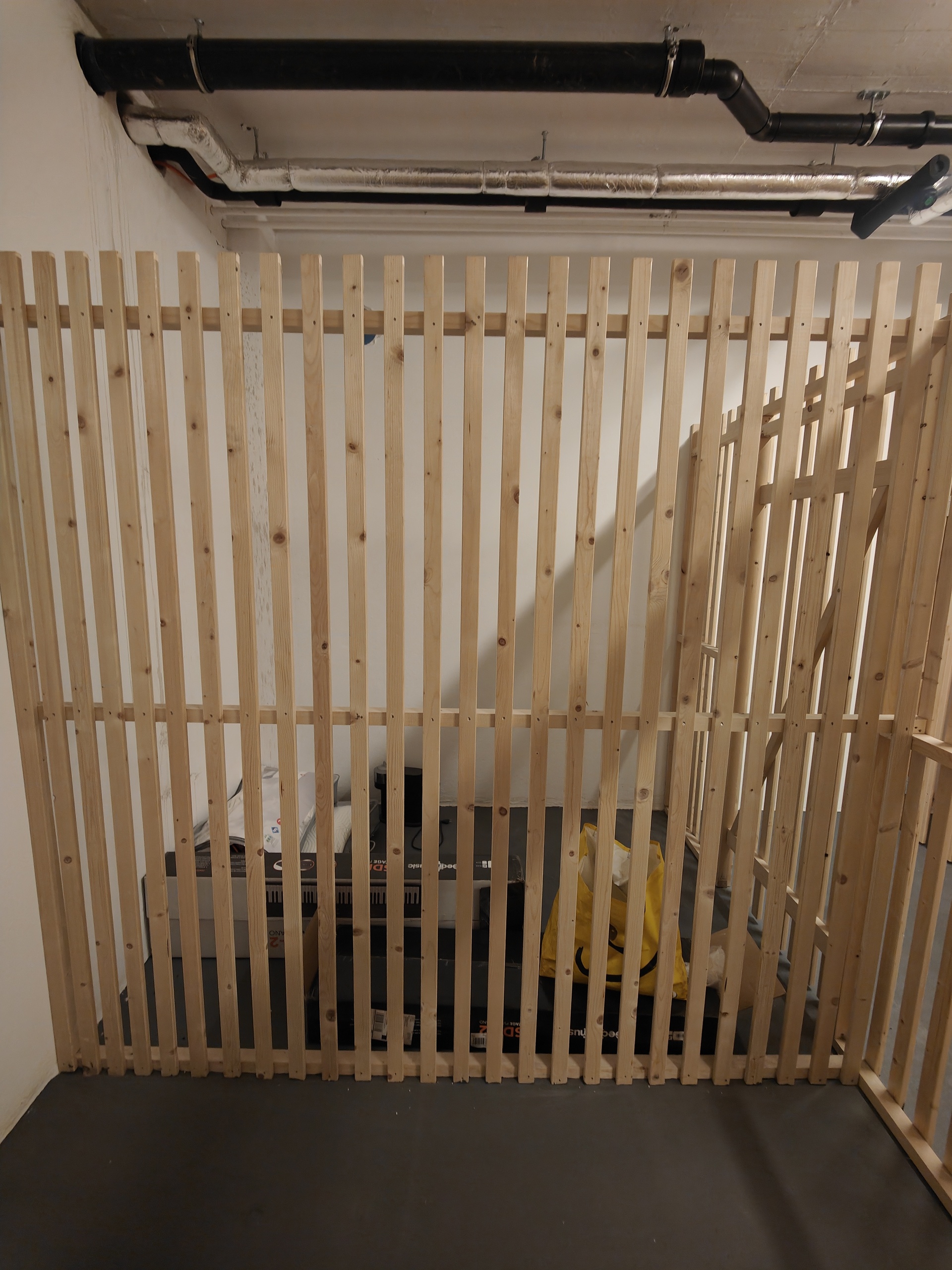Picture 7