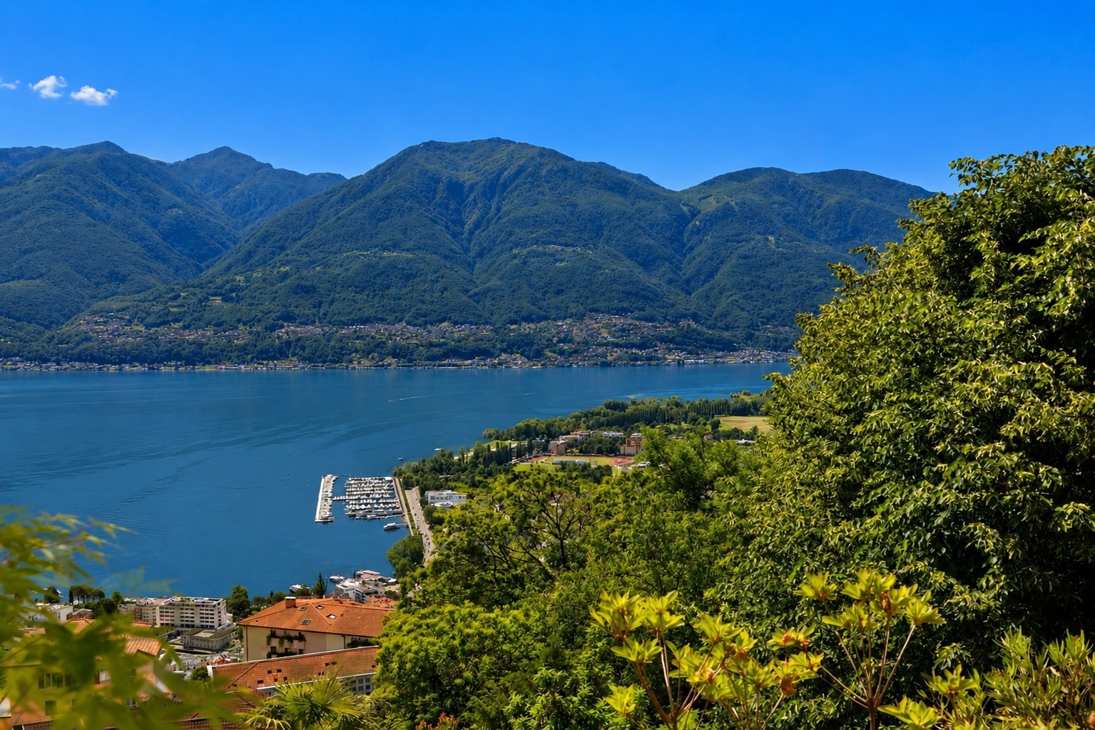 Immagine di copertina