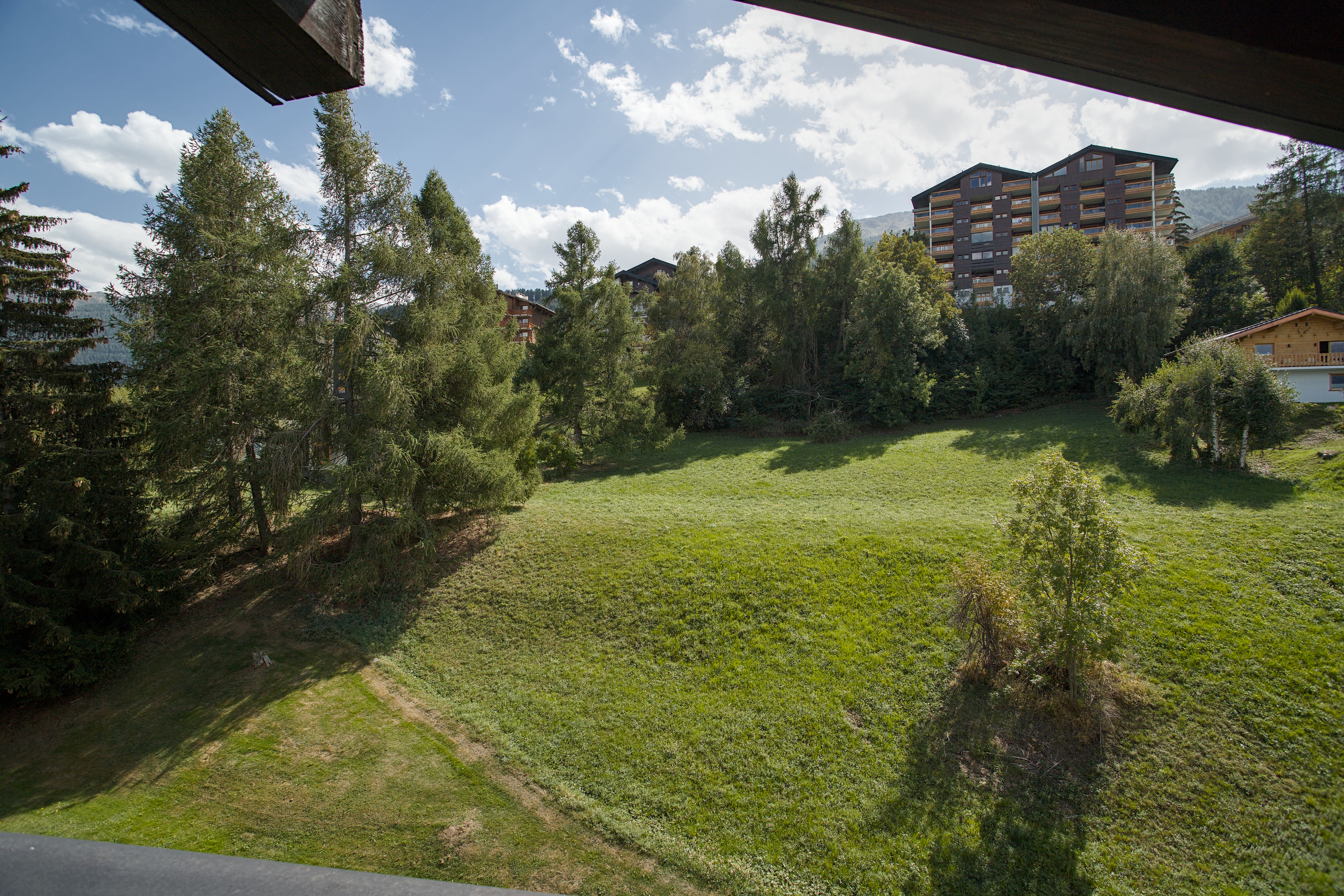 Photo 44