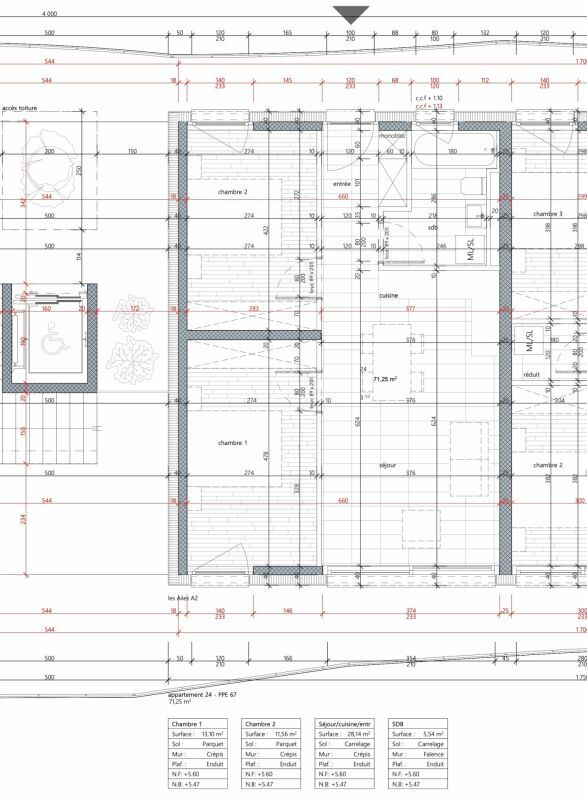 Immagine di copertina 1