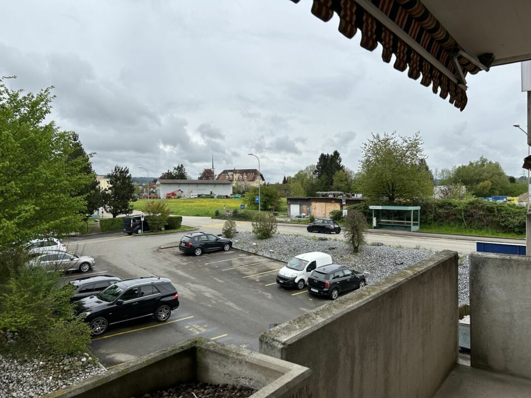 Picture 6