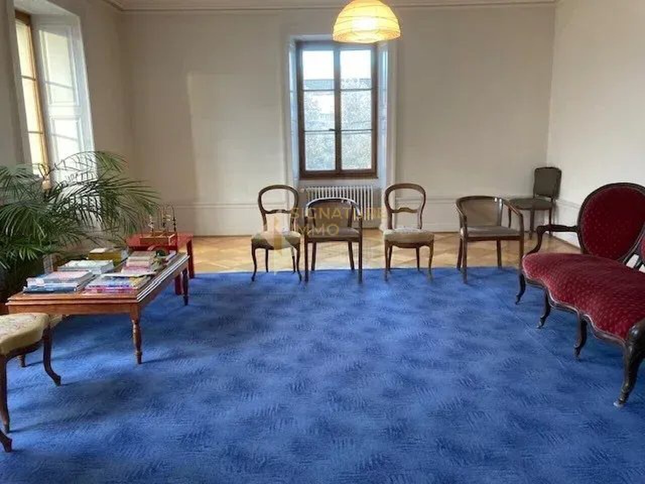 Foto 7