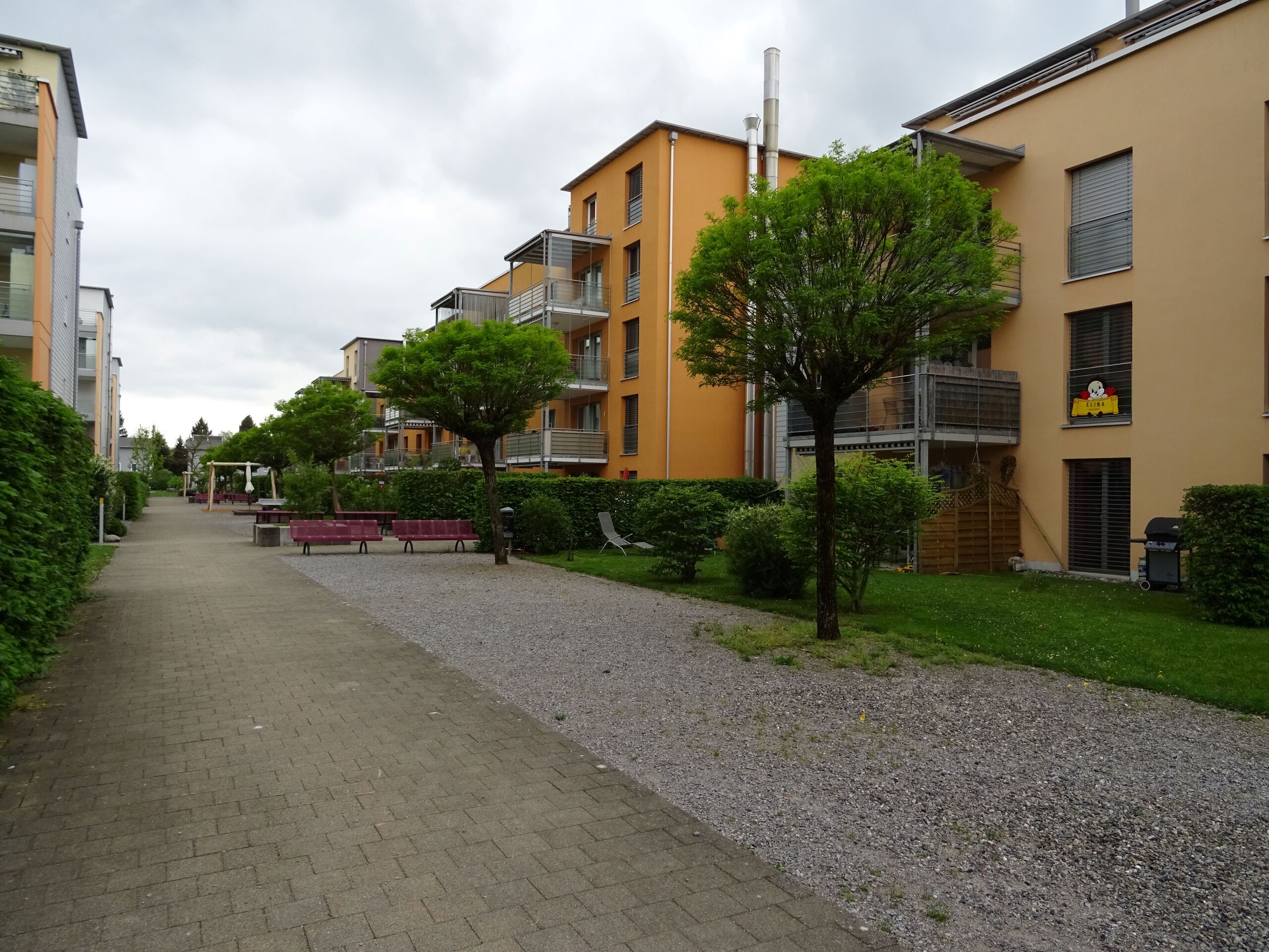 Immagine di copertina