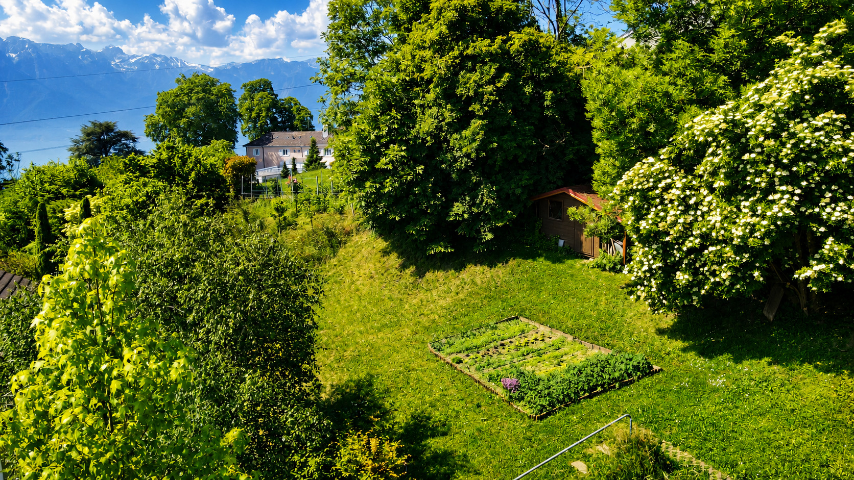 Aussenansicht 5